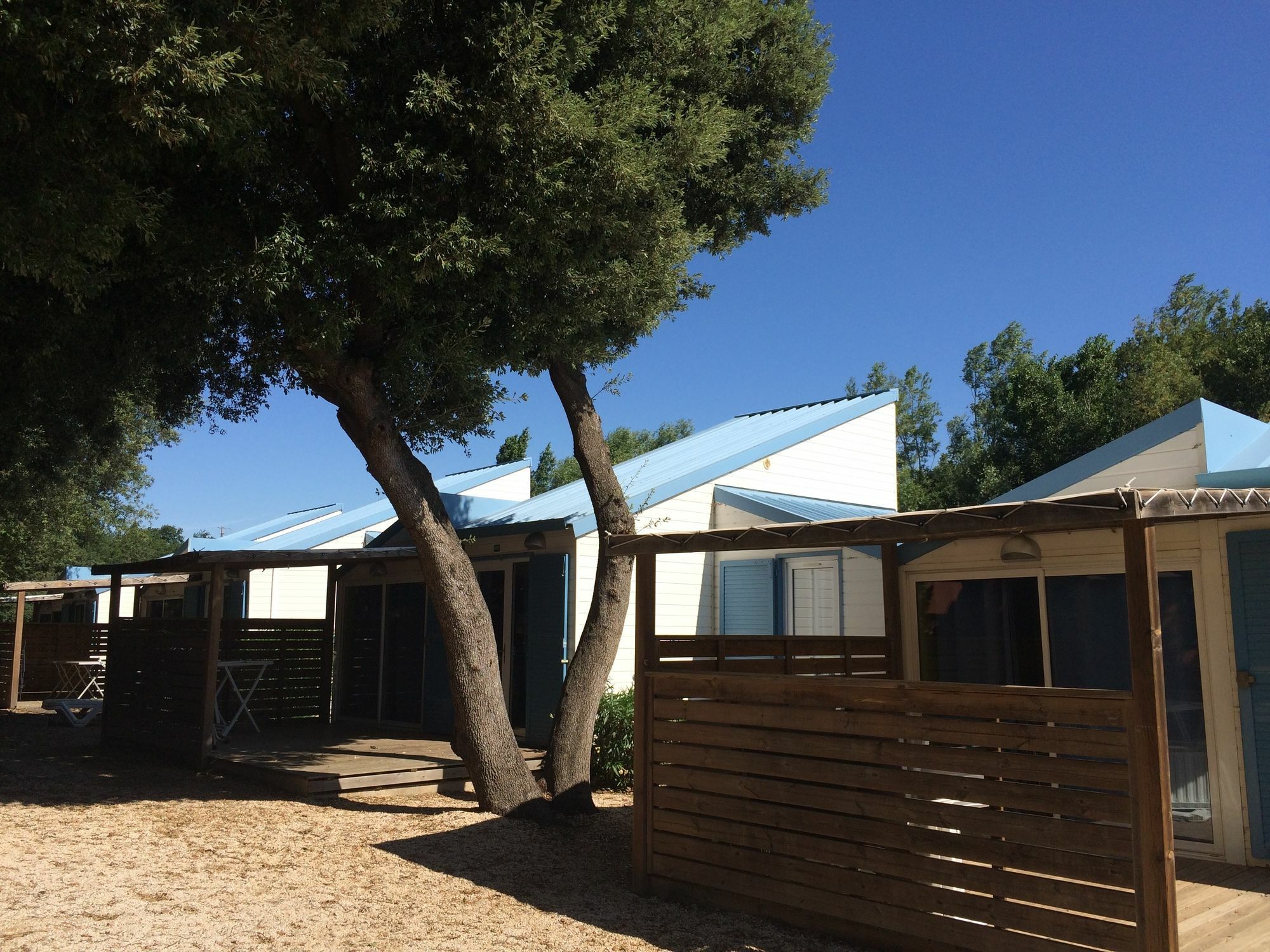 Camping Le Bois Fleuri อาร์เจเลส-ซัวร์-แมร์ ภายนอก รูปภาพ