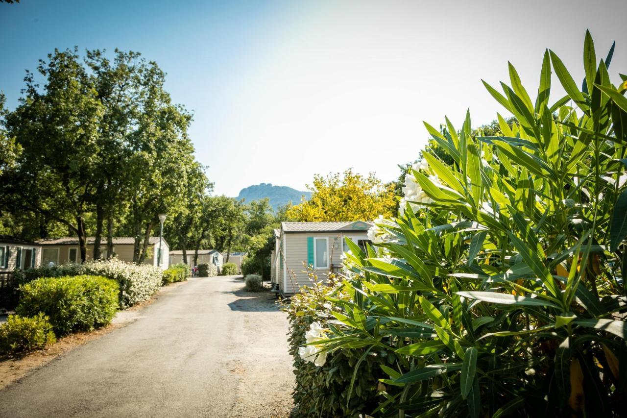 Camping Le Bois Fleuri อาร์เจเลส-ซัวร์-แมร์ ภายนอก รูปภาพ